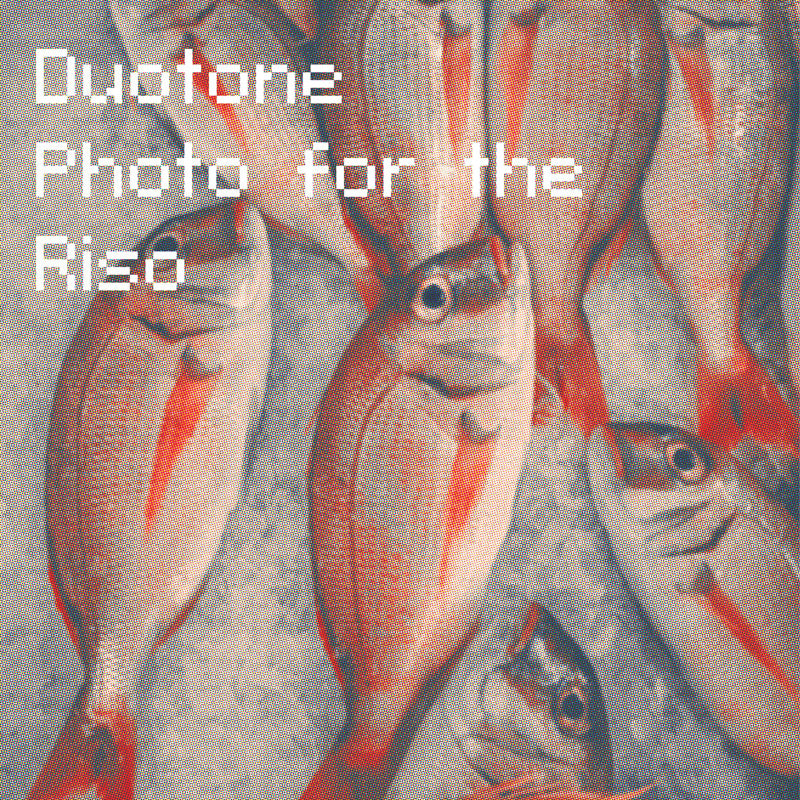 Duotone Photo for the Risograph Class